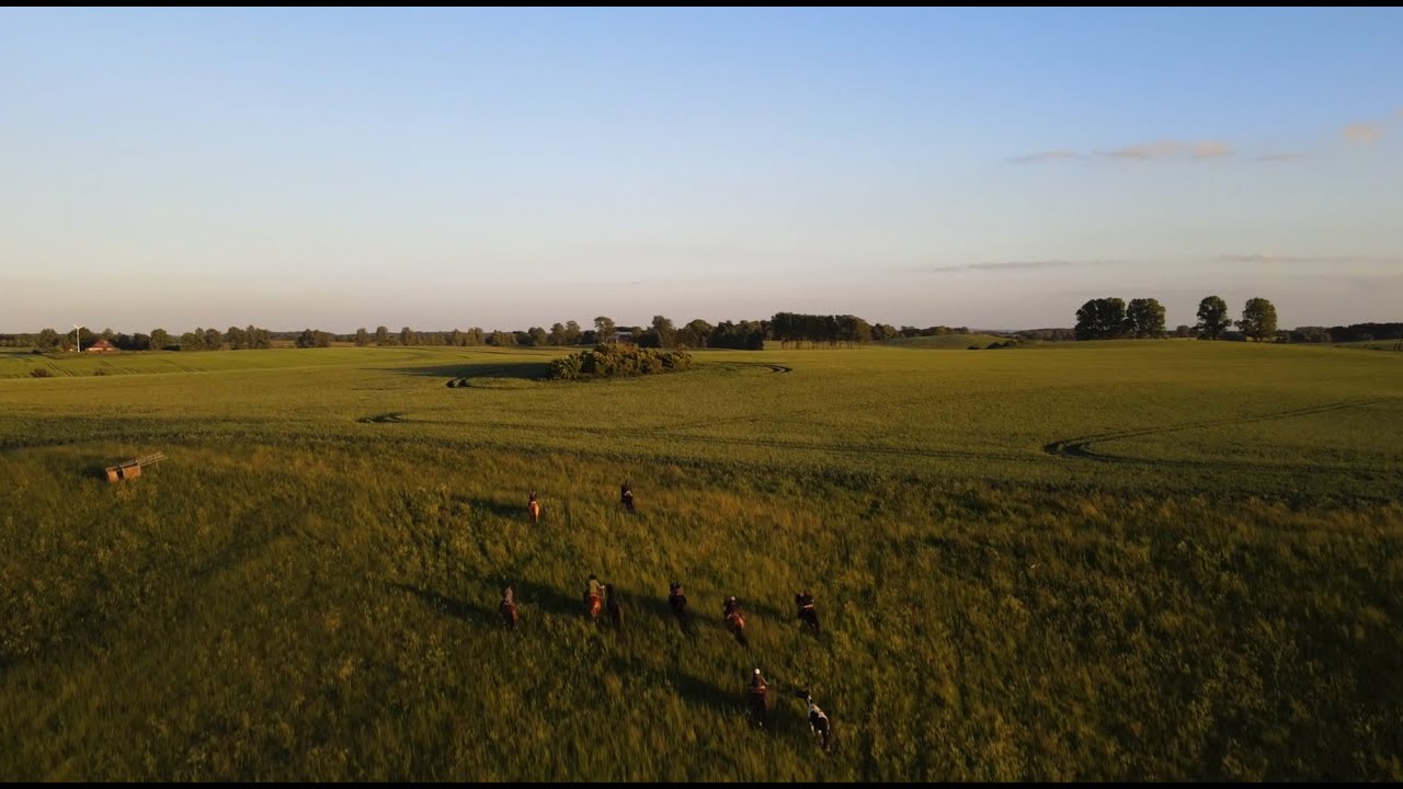 Gut Dalwitz - s&uuml;damerikanisches Flair in der &bdquo;Mecklenburger Pampa&ldquo;