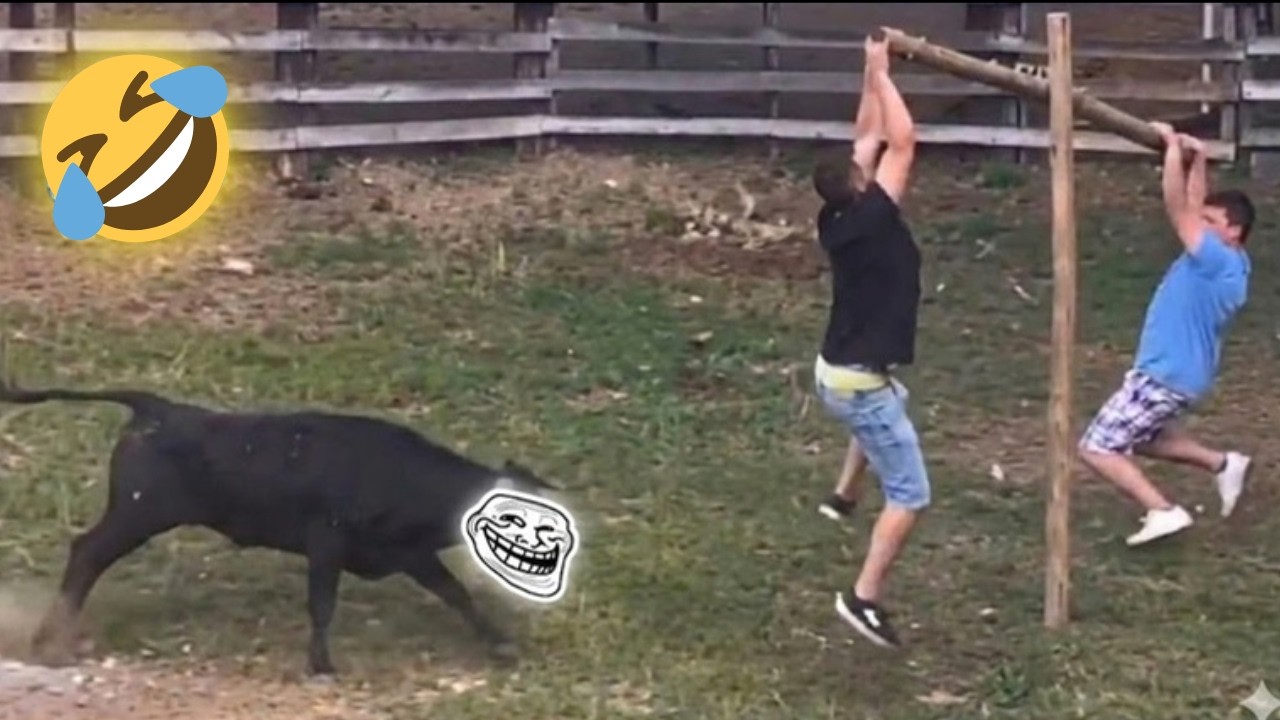 TRY NOT TO LAUGH 😆 Top Funniest Moments 😂 best funny video 2026 #3