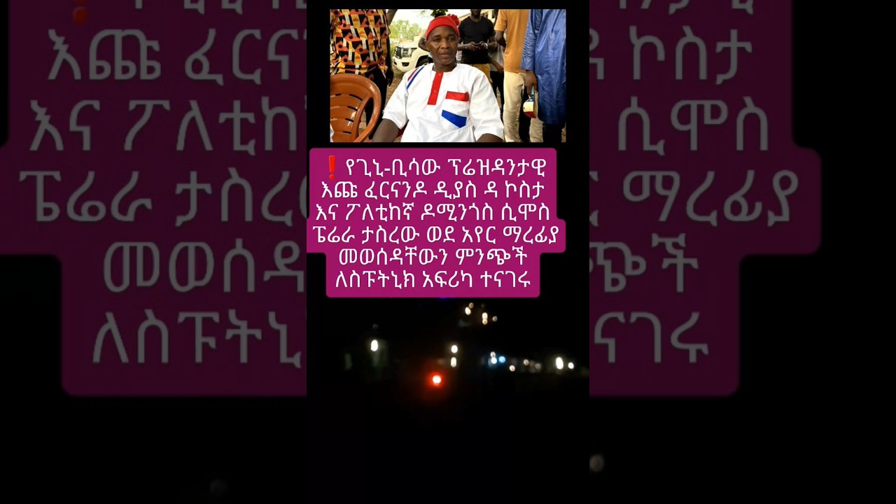 የጊኒ ቢሳው ፕሬስዳንት 