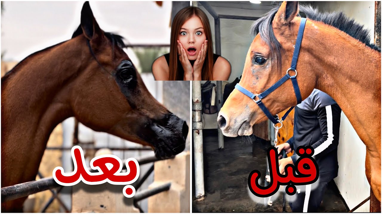 كشخة الفرس ريناد للعيد !! انصدمت من شكلها بعد التجميل 😱🔥