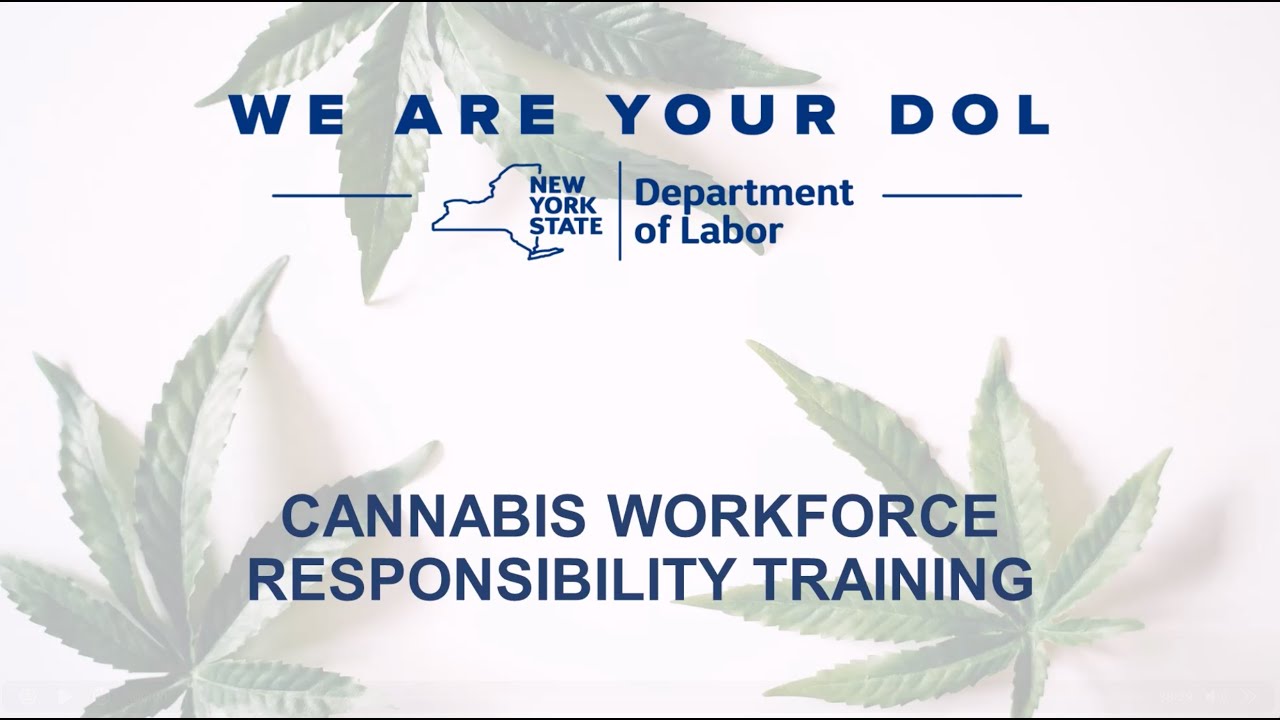 NYS Department of Labor (DOL) Cannabis Workforce Responsibility Training