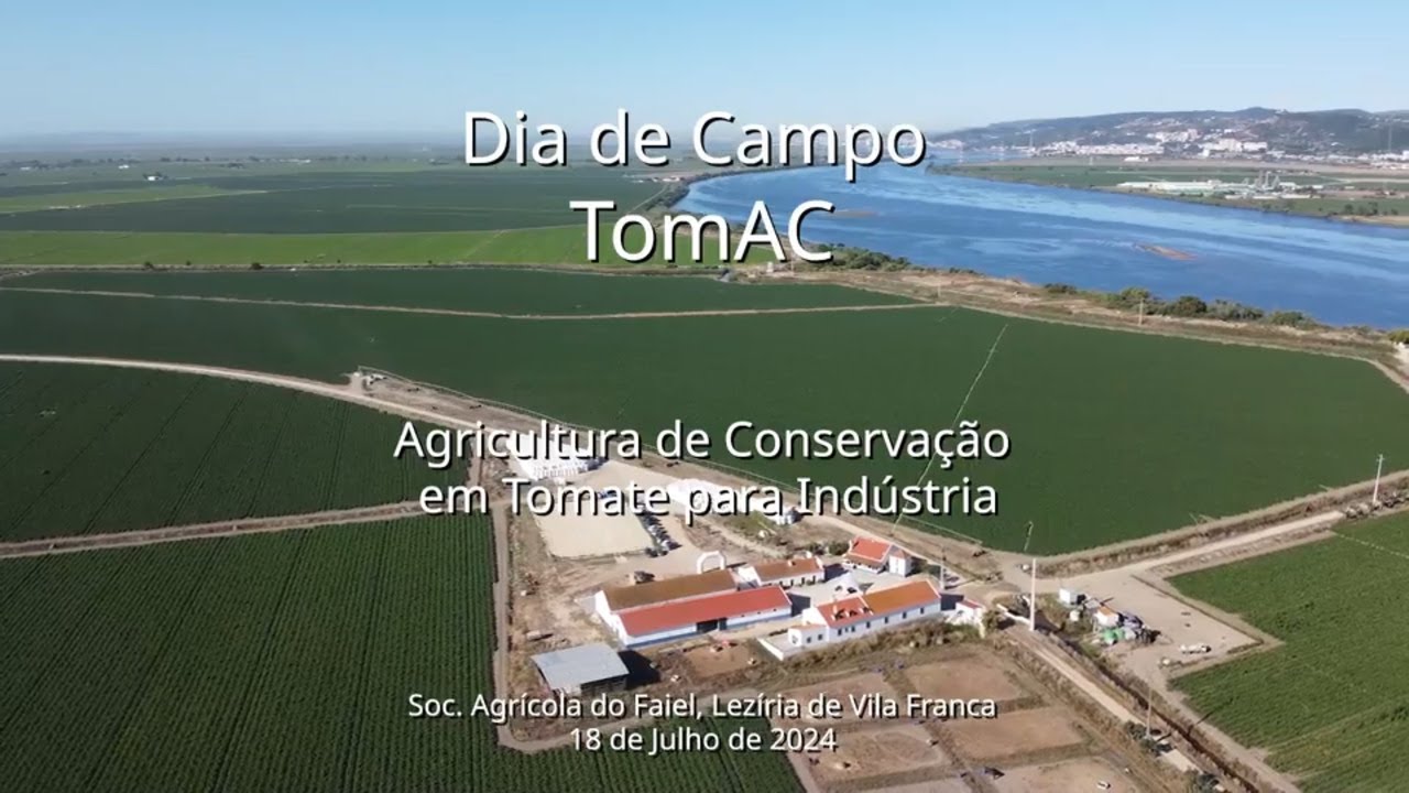 Dia de Campo Projeto TomAC- Agricultura de Conservação em Tomate para Indústria