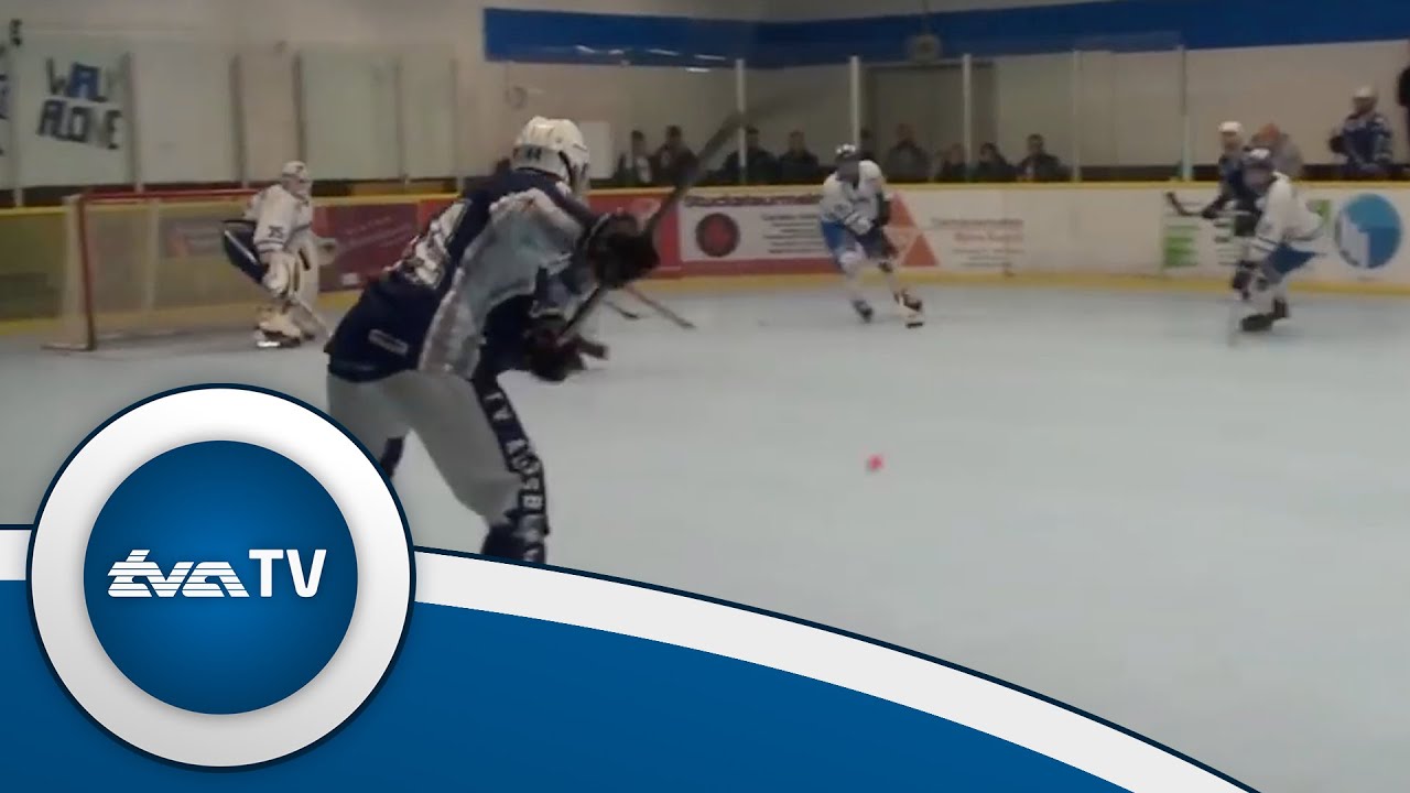 TVA TV | IH Samurai Iserlohn - TV Augsburg | ISHD Skaterhockey-Bundesliga 2013 Finale 3