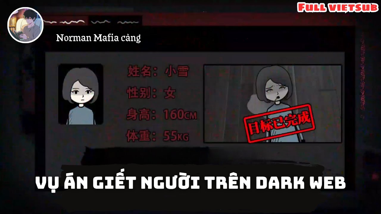 [Full] Hồ sơ chưa khép lại từ dark web: Ai đứng sau mọi thứ? - Norman Review