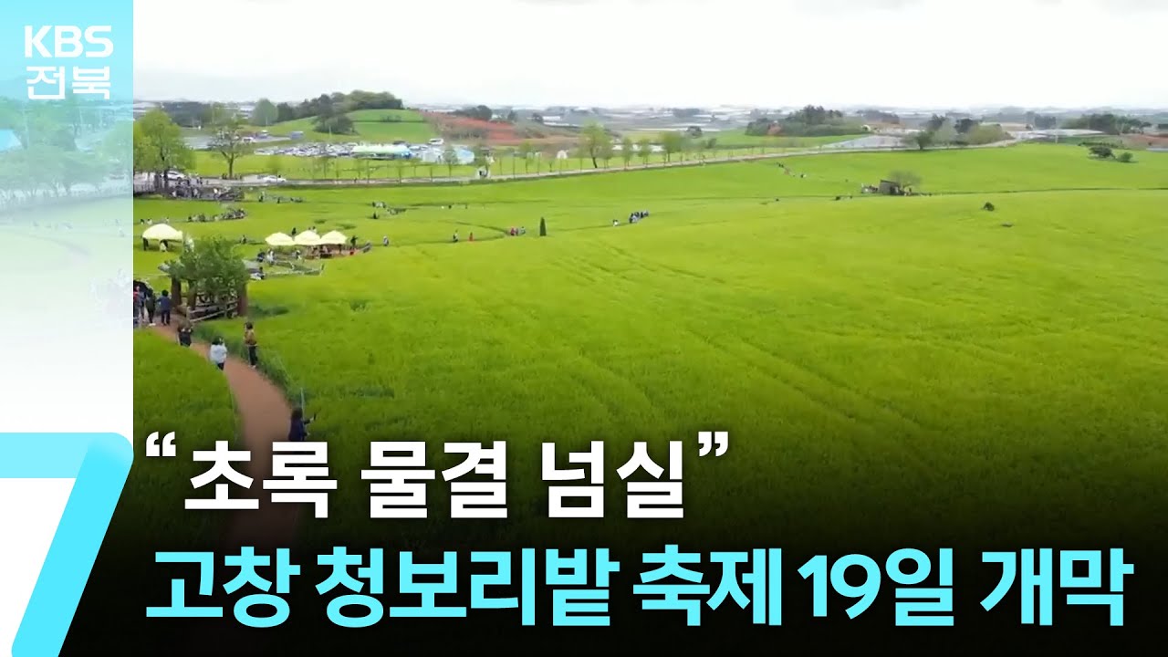“초록 물결 넘실”…‘고창 청보리밭 축제’ 오는 19일 개막 / KBS  2025.04.08.
