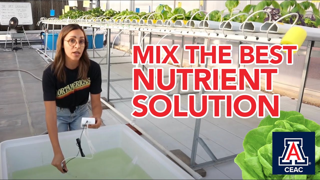 Hydroponic Fertilizer for Leafy Greens: Easy Recipe for Beginners