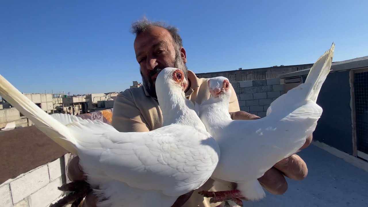 سطح ابو الفوز مفاجأت😀