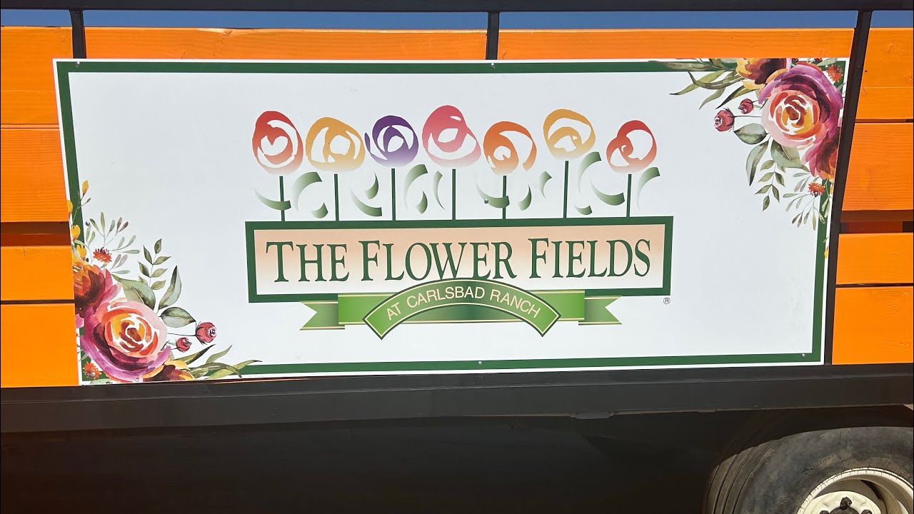 The Flower Fields in Carlsbad, CA