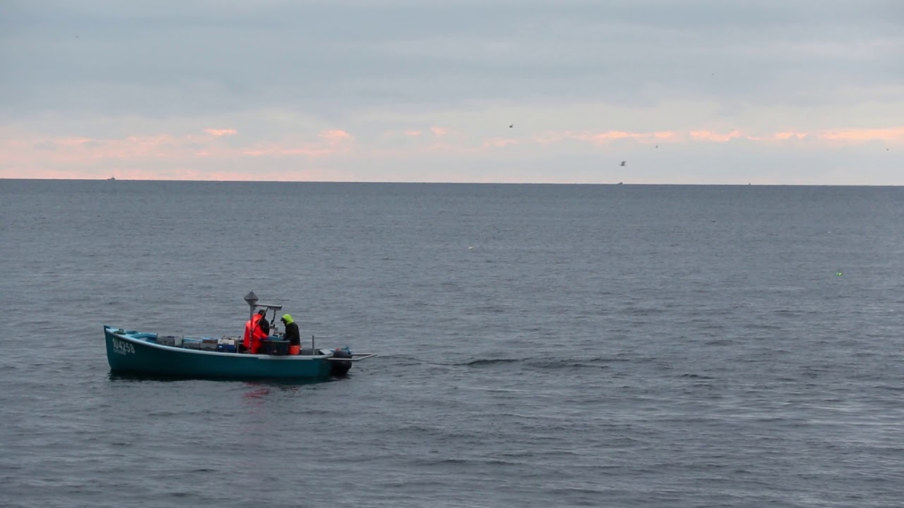 Outboard lobster fishing off Clarks Harbour