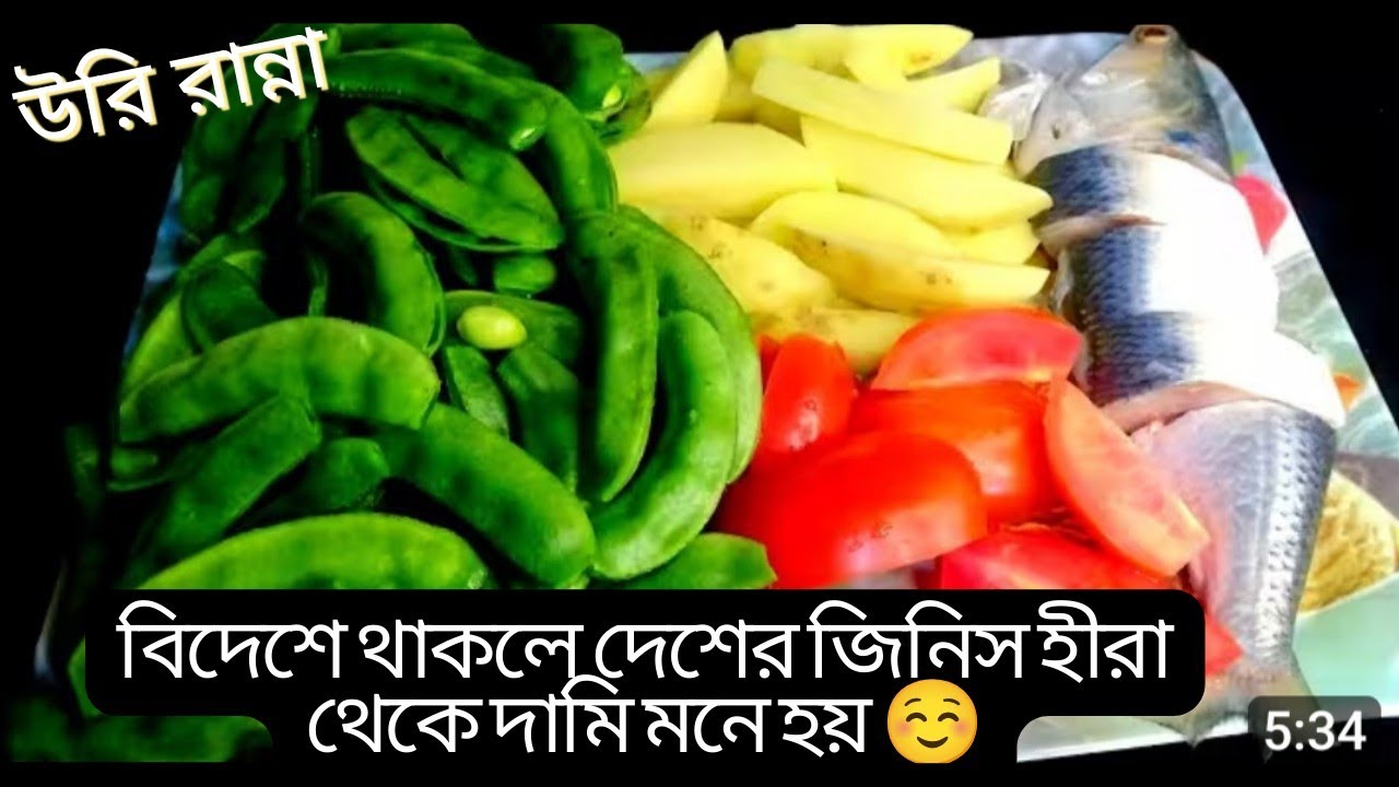 ✨বিদেশে থাকলে দেশের জিনিস হীরার থেকেও দামি মনে হয় 😂/মজাদার সিম রান্না 😋🔥। 