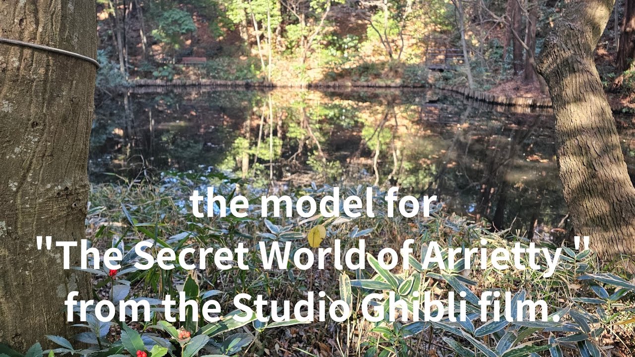 🇯🇵 the model for 