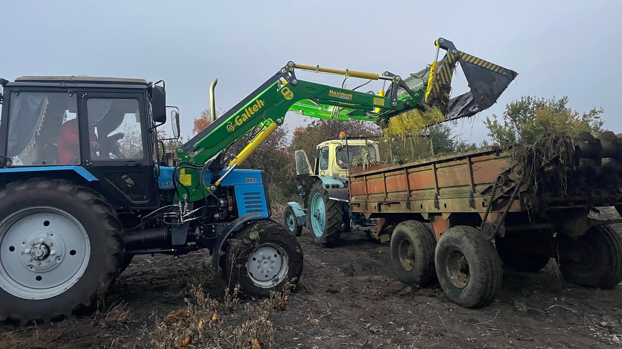 Грузимо Органіку МТЗ 892 👍ГРОШІ НЕ ПАХНУТЬ❗️Органічне добриво❗️Навантажувач Галтех✅ЮМЗ 6 РОУ-6👍
