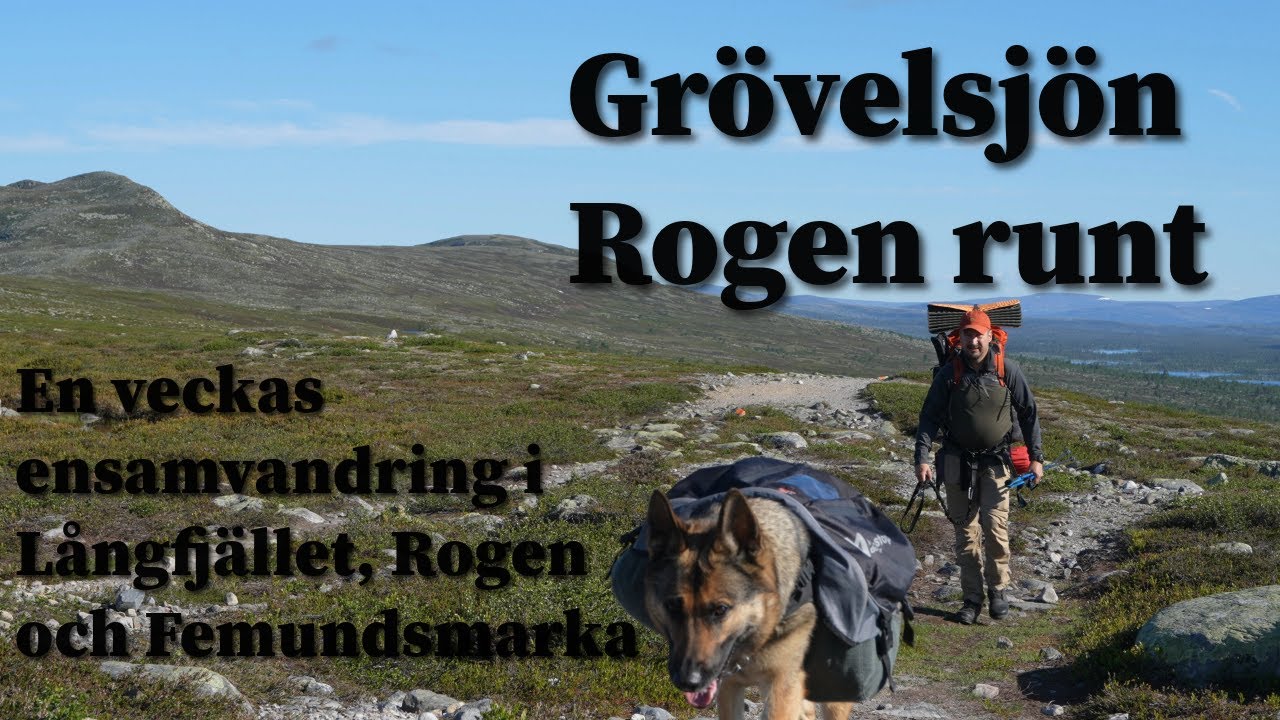 Grövelsjön-Rogen runt. En veckas ensamvandring i Långfjället, Rogen och Femundsmarka.