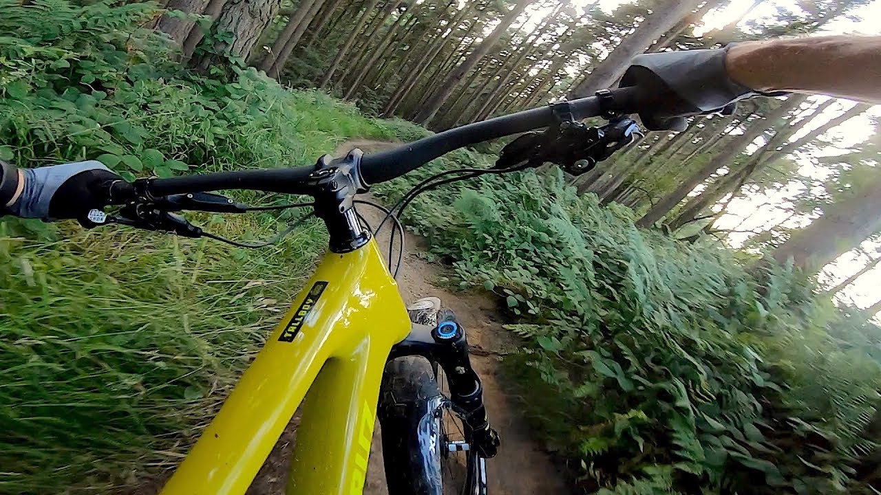 Santa Cruz Tallboy 4 full gas live ride review