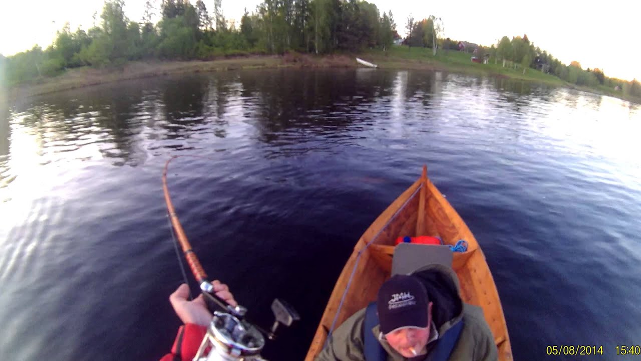 Tornionjoki, lappea 20.06.2015 Lilli-vaappu (lohi 13,2kg)