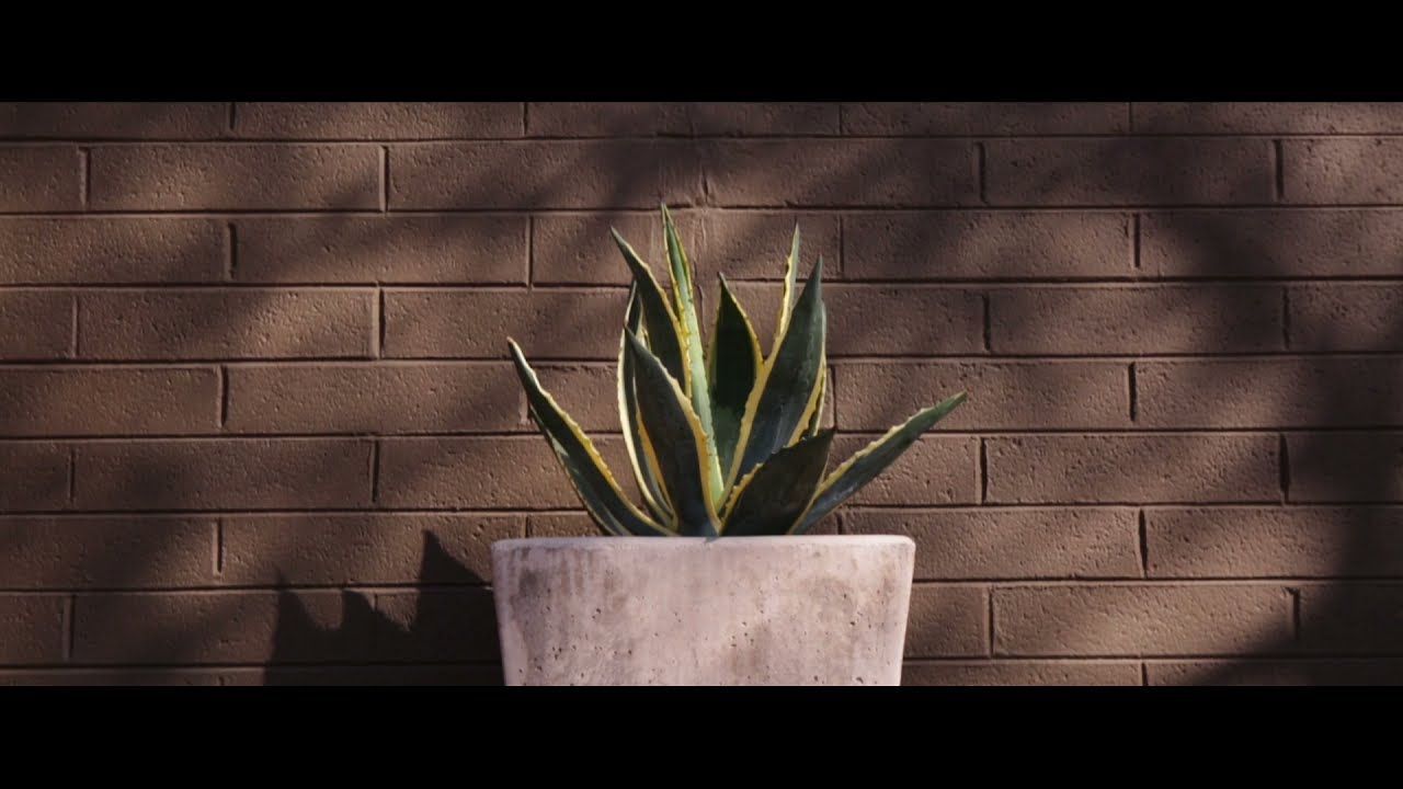 R.O.I. Properties CRE: Creative Office For Sale in Phoenix Arts District (short version)