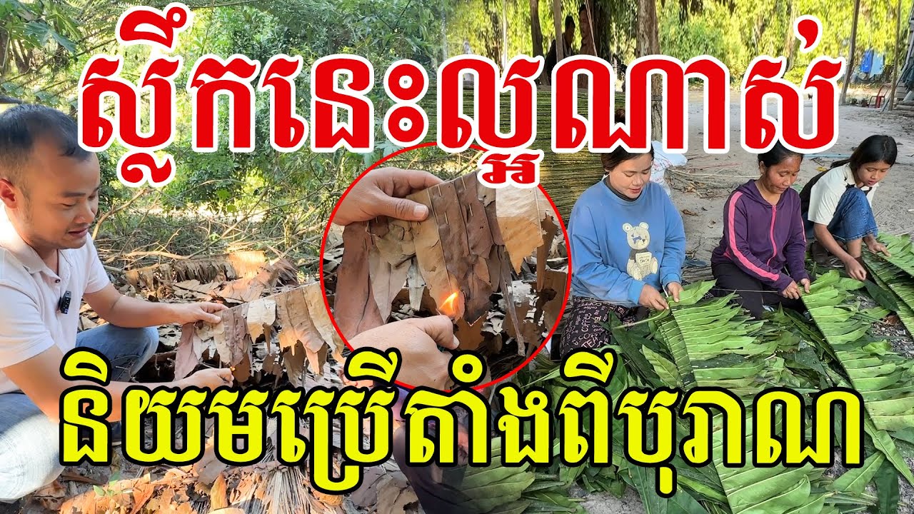 ស្លឹកនេះមានប្រយោជន៍ល្អណាស់ ចាស់ៗនិយមប្រើតាំងពីបុរាណ