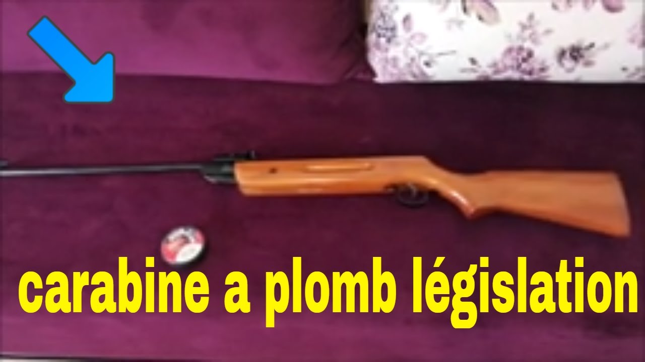 CARABINE A PLOMB 10 JOULES EXPLICATION LEGISLATION