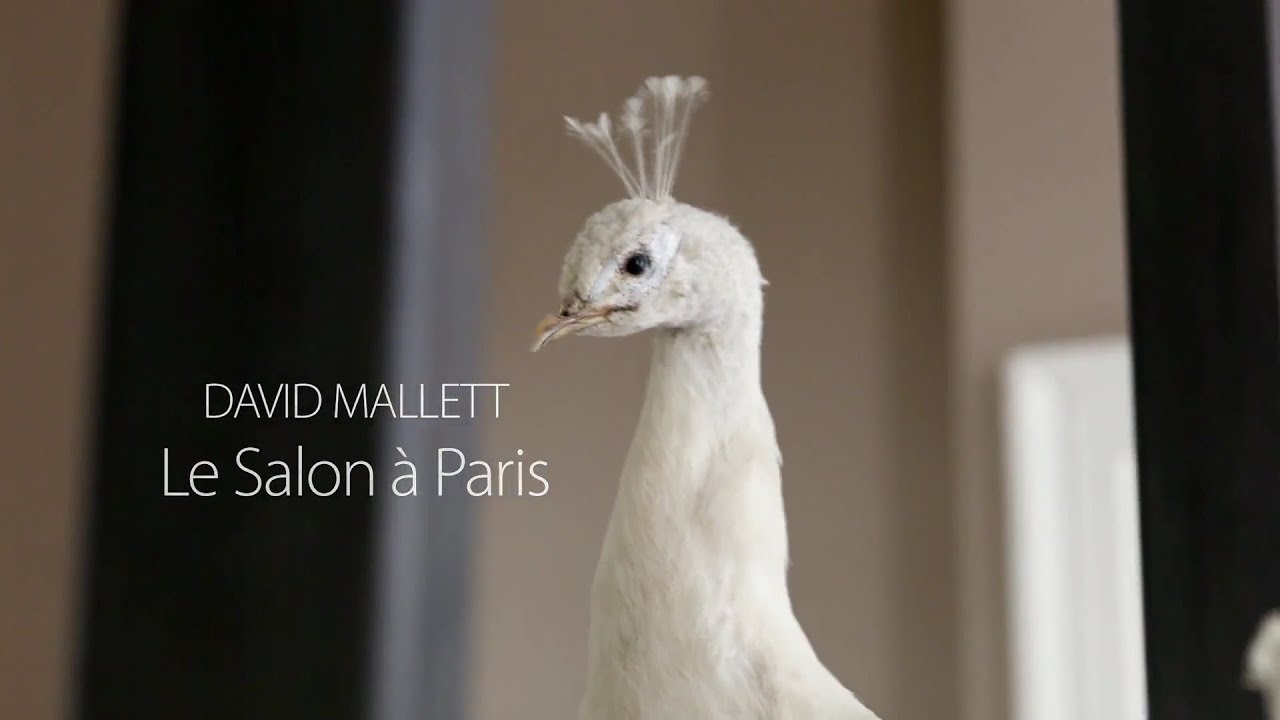 David Mallett: Le Salon à Paris