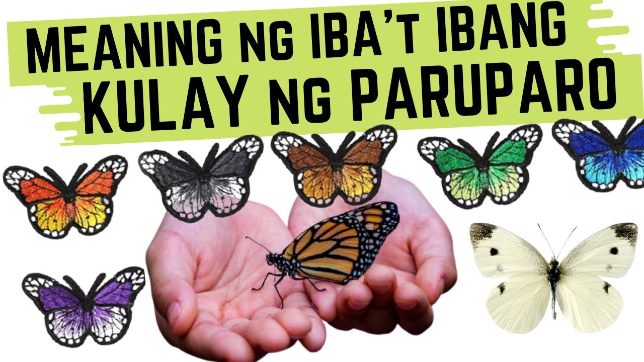 🦋 Kahulugan ng KULAY ng PARUPARO | Puti, Itim, Dilaw at iba pang COLORS ng Butterfly - MEANING, SIGN