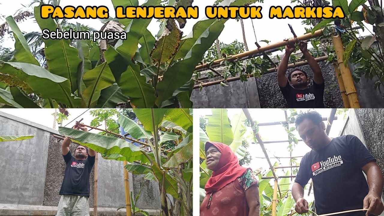Aktivitas di desa 3 hari sebelum puasa, ikat dan pasang lenjeran markisa/siuh
