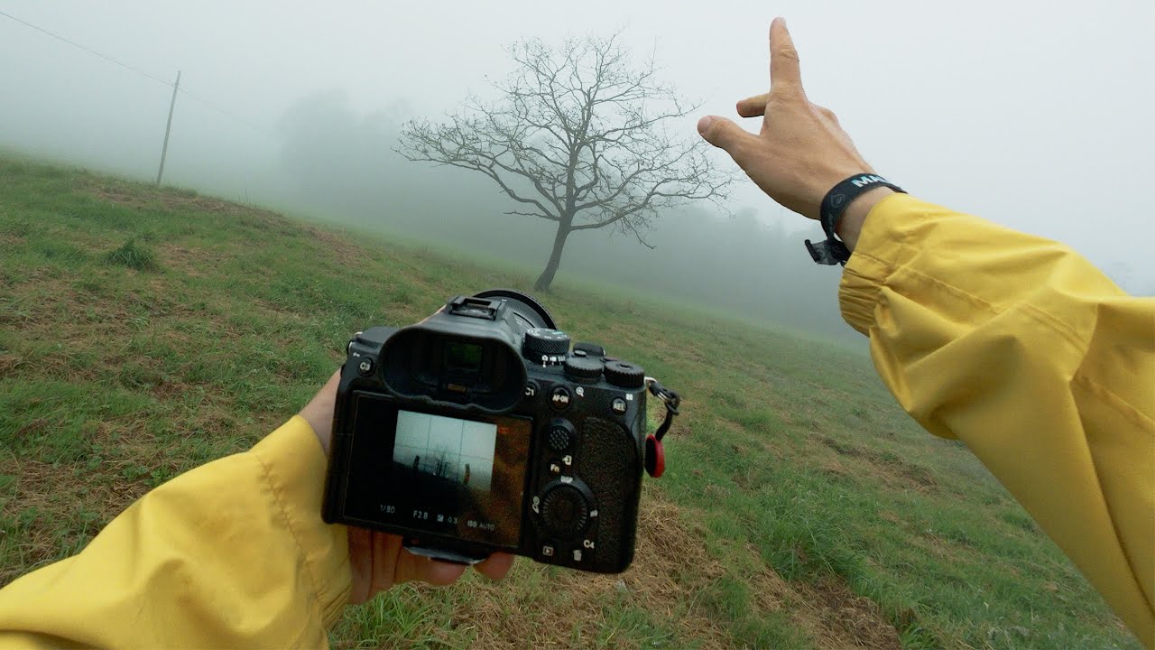 Mountains, fog and rain: a beautiful day of photography