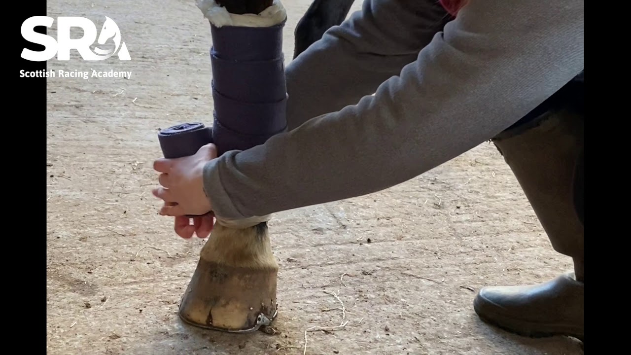 Your Guide to Stable Bandaging a Horse...