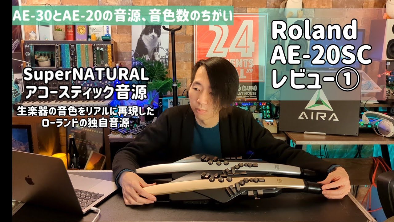 【レビュー編①】Roland AE-20/20SC - ローランドの新型エアロフォンをそこはかとなくレビューするの巻