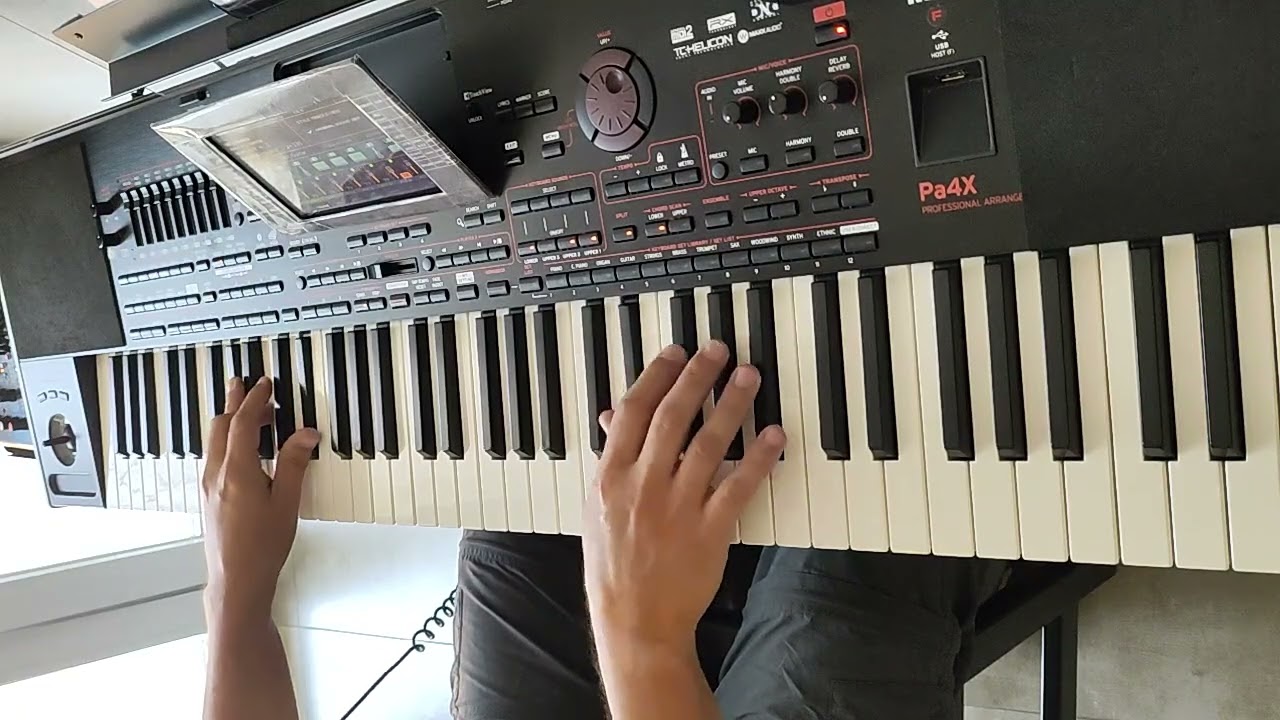 Bailando - Paradisio (cover) Keyboard Arranger Korg