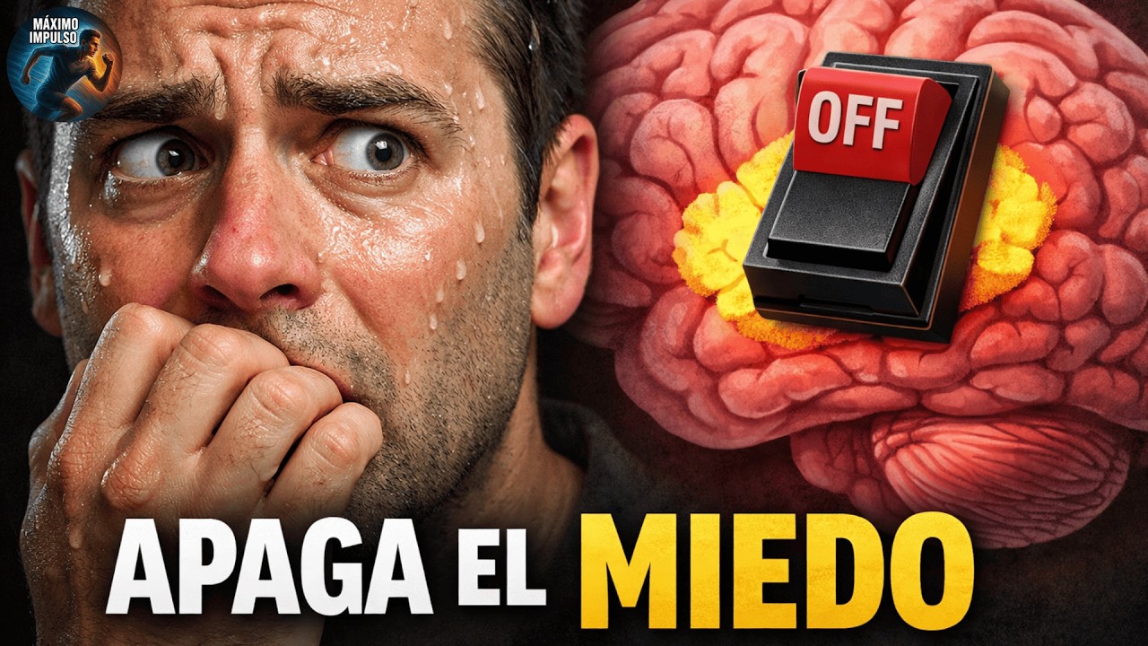 Por Qué tu Cerebro Entra en PÁNICO (Y Cómo Usarlo a tu Favor)
