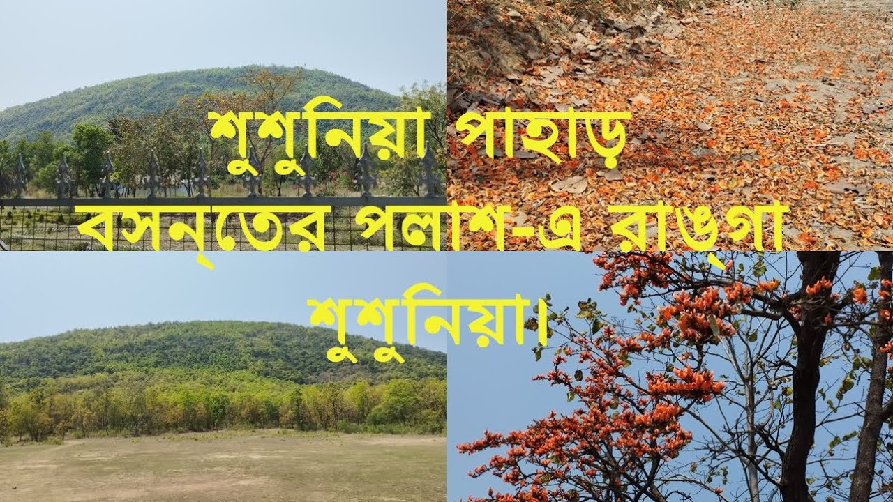Susunia Hill Bankura | Palash Flower | 31st March @TravelBharatIndia