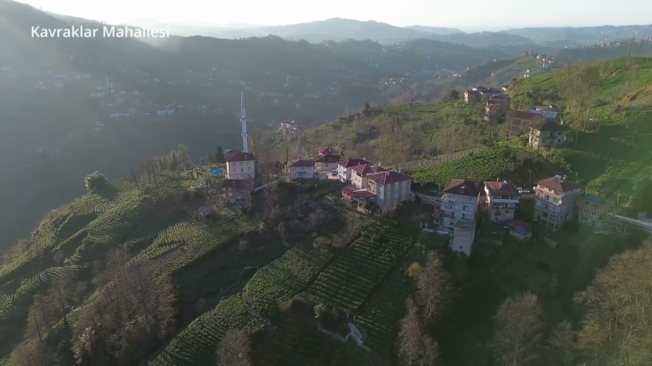 Kavraklar Mahallesi | Kavrak Ailesinin Ata Toprağı
