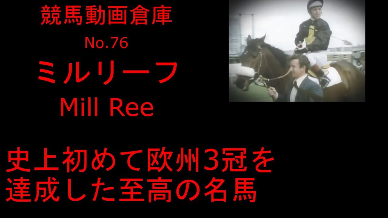 【競馬】ミルリーフ　Mill Reef　【No.７６】