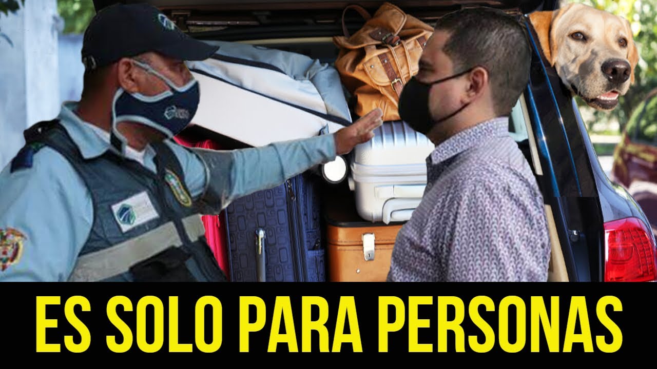 Nada de TRASTEOS o ANIMALES en las SILLAS de ATRAS del 🚗 🛵 ?