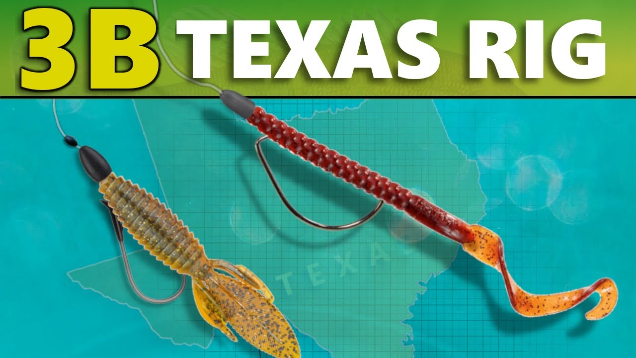 INTERMEDIATE GUIDE to BASS FISHING: 3B - Texas Rig