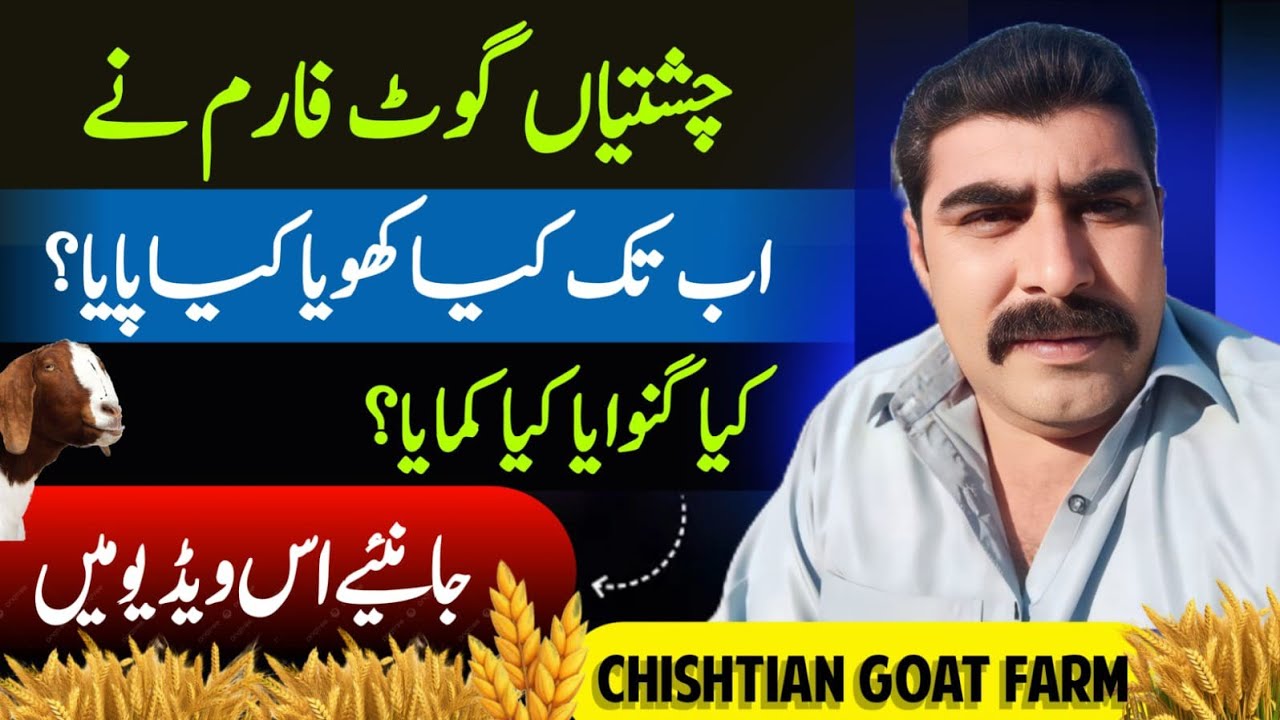 after 6year chishtian gaot farm! الحمدللہ