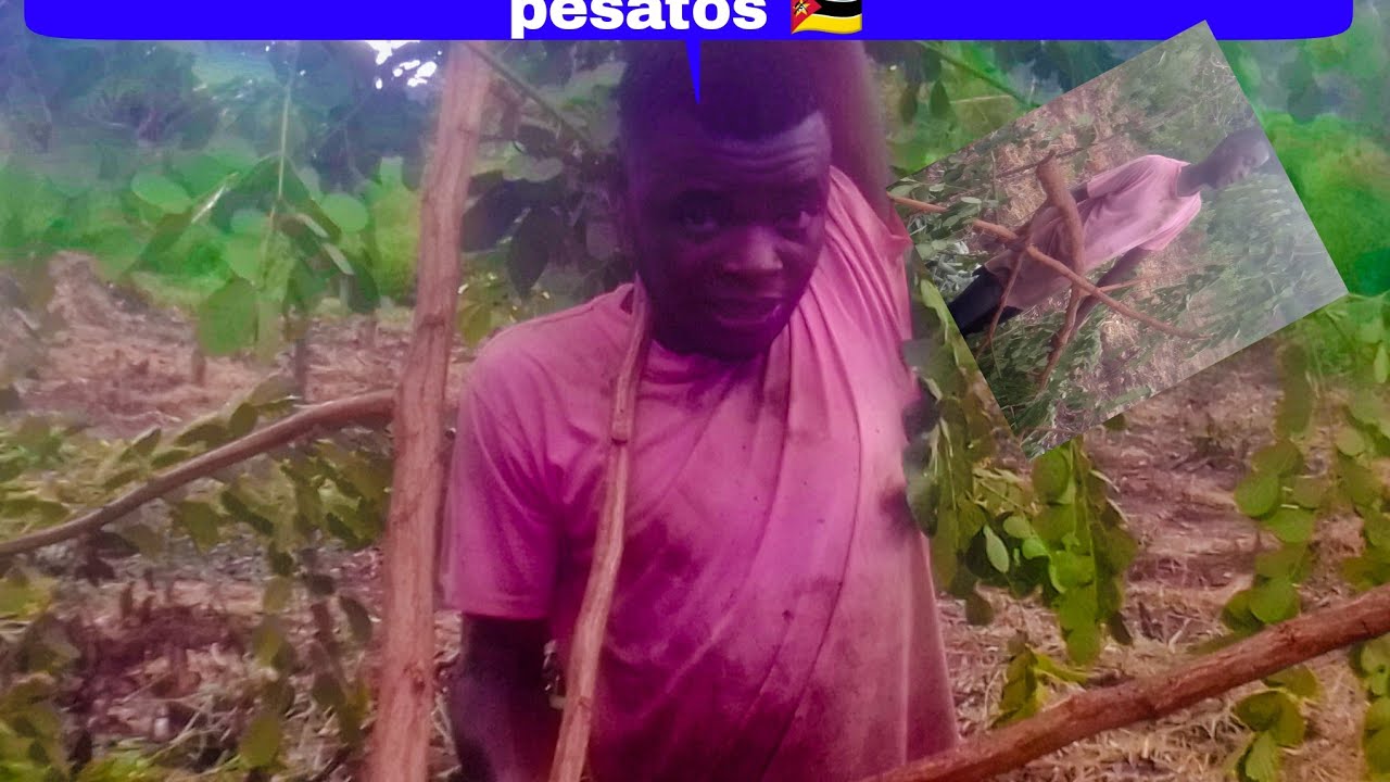 Moremos seto atravez de muito trabalho em moçambique🇲🇿