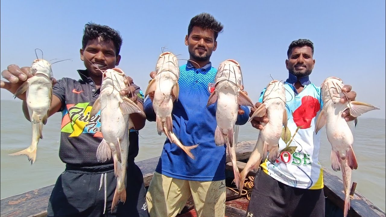 खोल समुद्रात गरी टाकून पकडल्या मोठ्या-मोठ्या शिंगाल्या. Deep sea catfishing. Mumbai Indian fishing