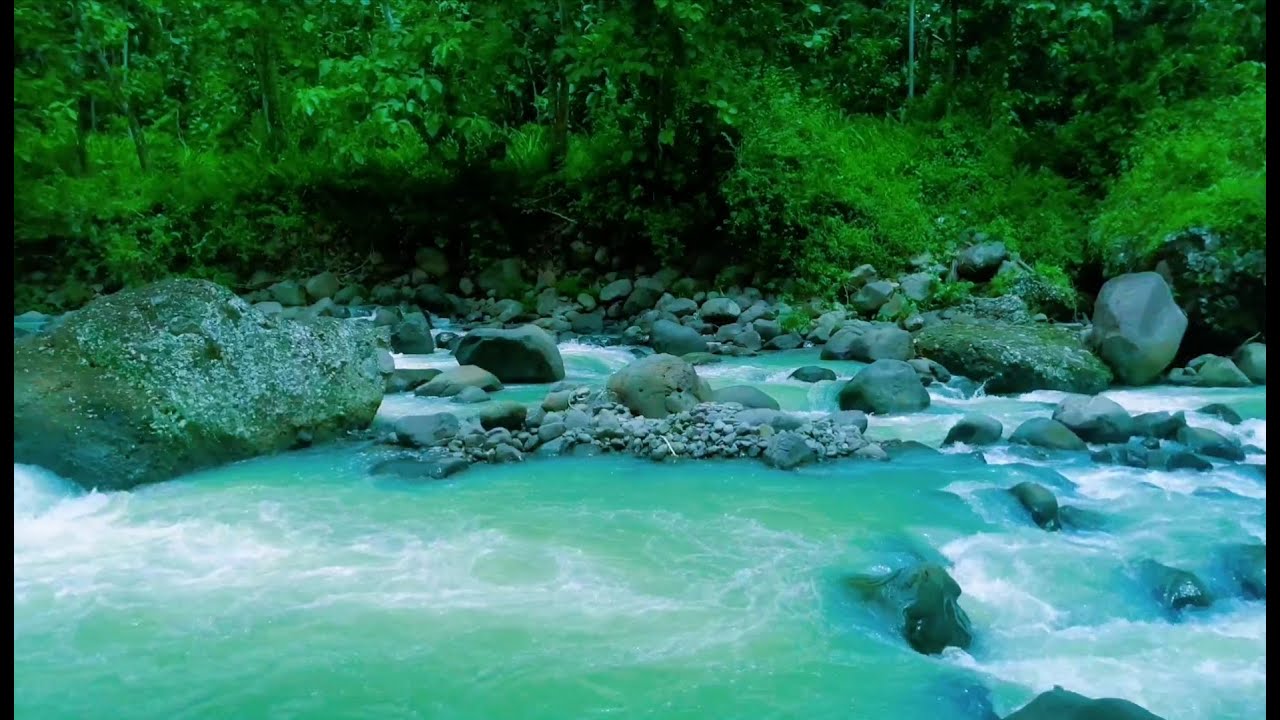 Peaceful Flowing River Sounds – Calming Water for Mind & Body