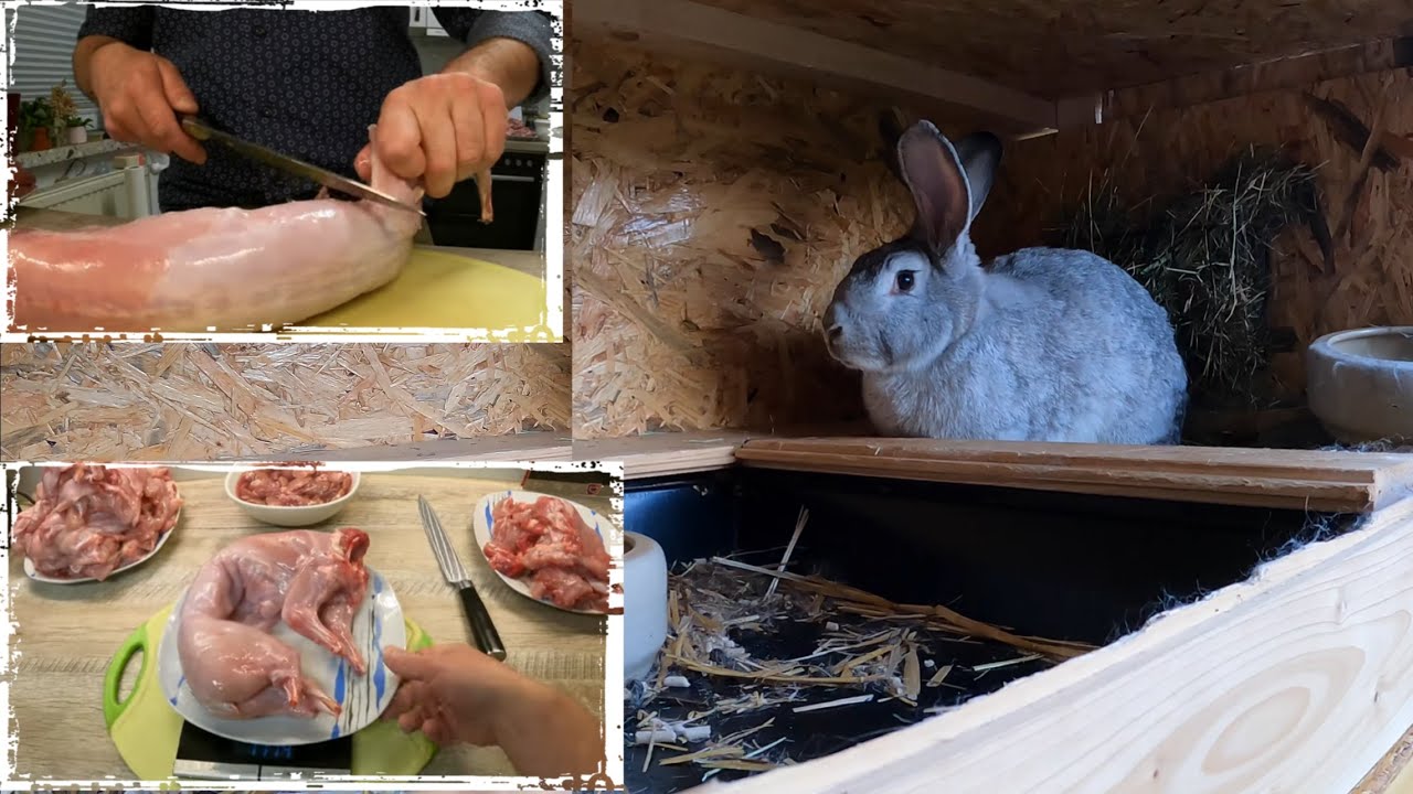Selbstversorger- Hinterläufer vom Kaninchen entbeinen