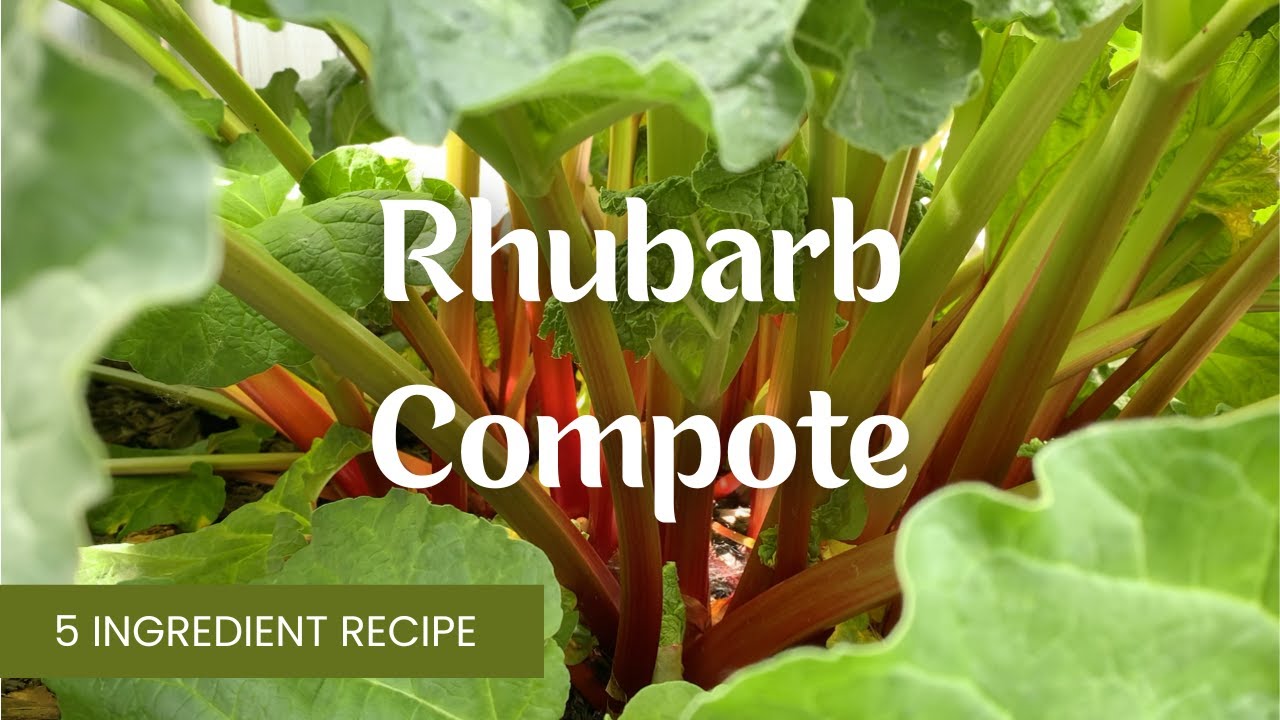5 Ingredient Rhubarb Compote