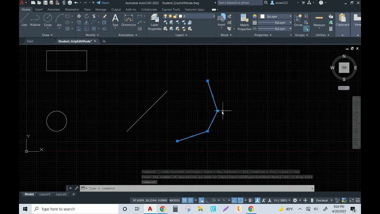 020 AutoCAD Grip Edit Mode