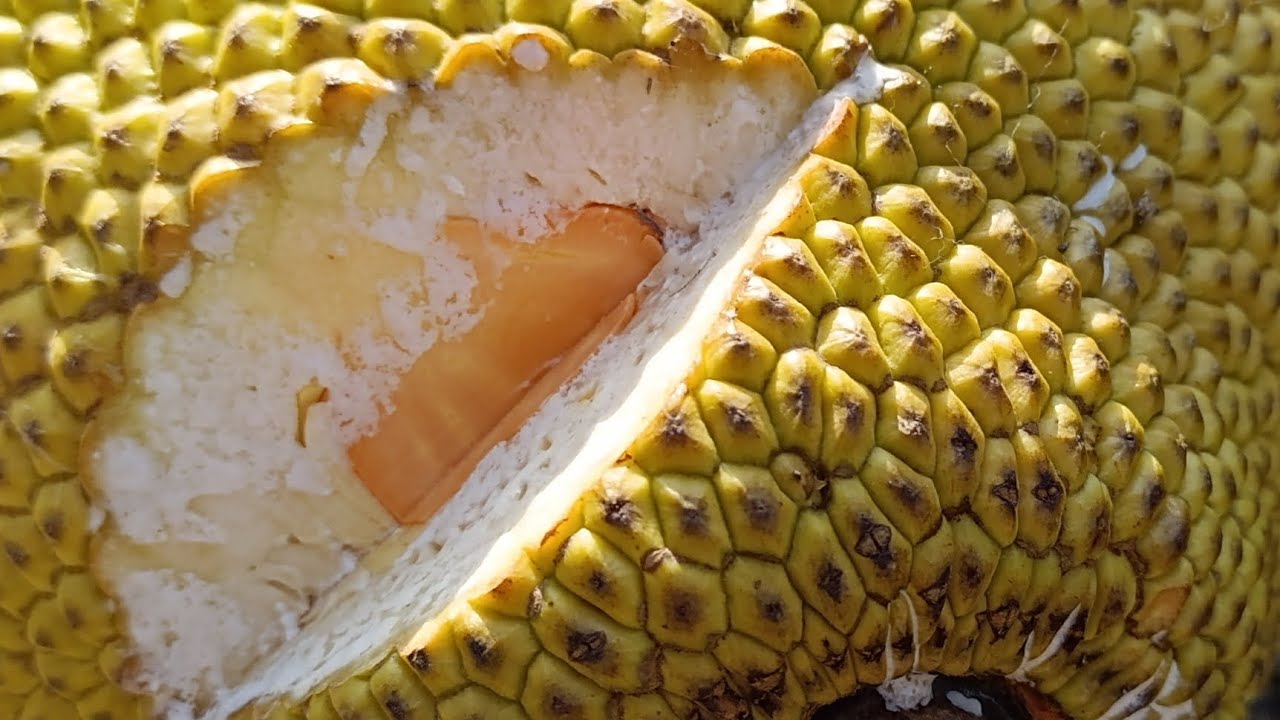 Giá mít hôm nay bình ổn như hôm qua