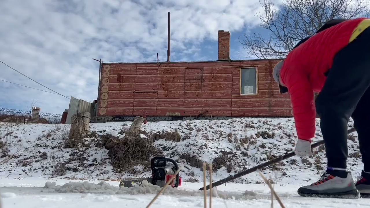 Як дихає риба під шаром льоду