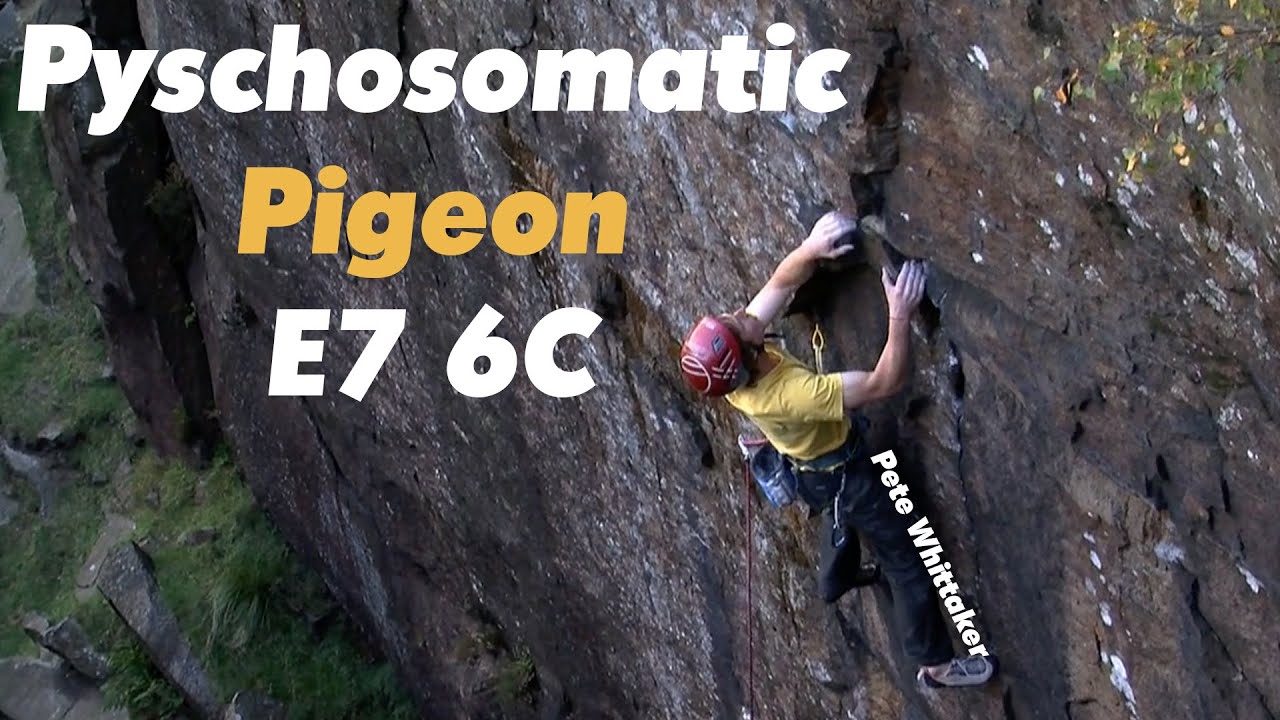 Pete Whittaker - Psychosomatic Pigeon E7 6C FA