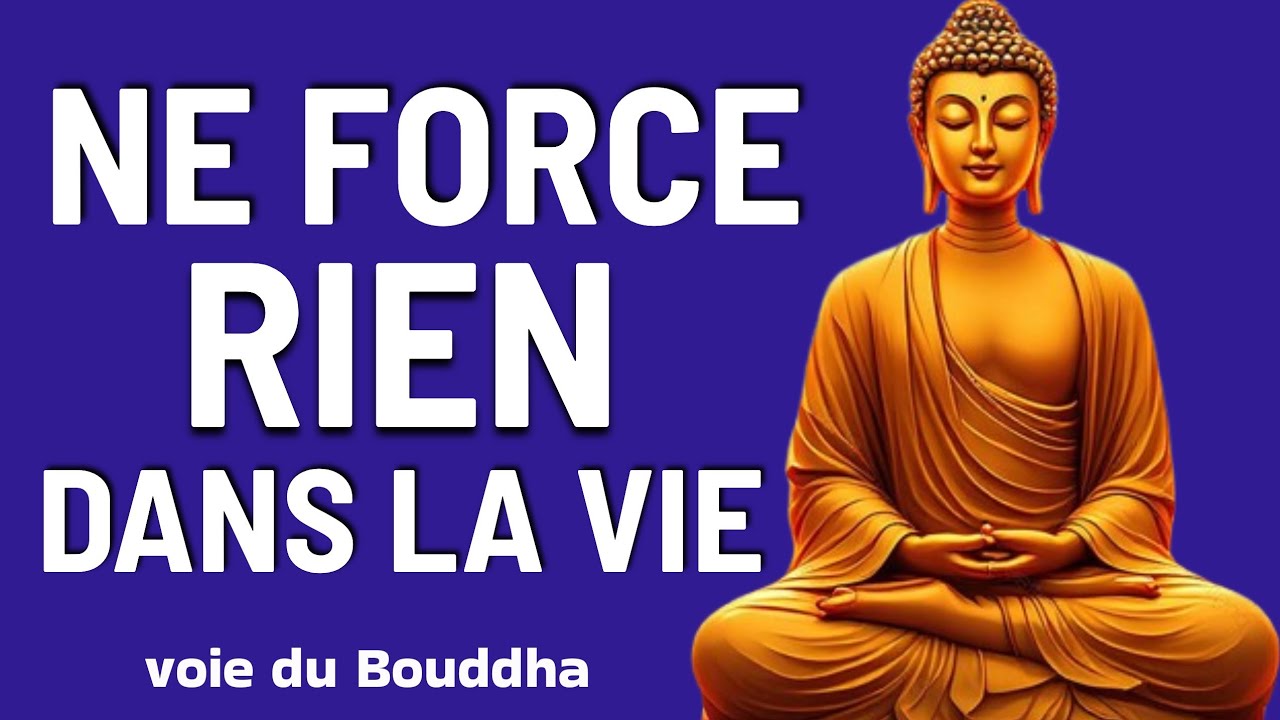 Ne force rien : la vie sait exactement quand agir (7 enseignements bouddhistes)