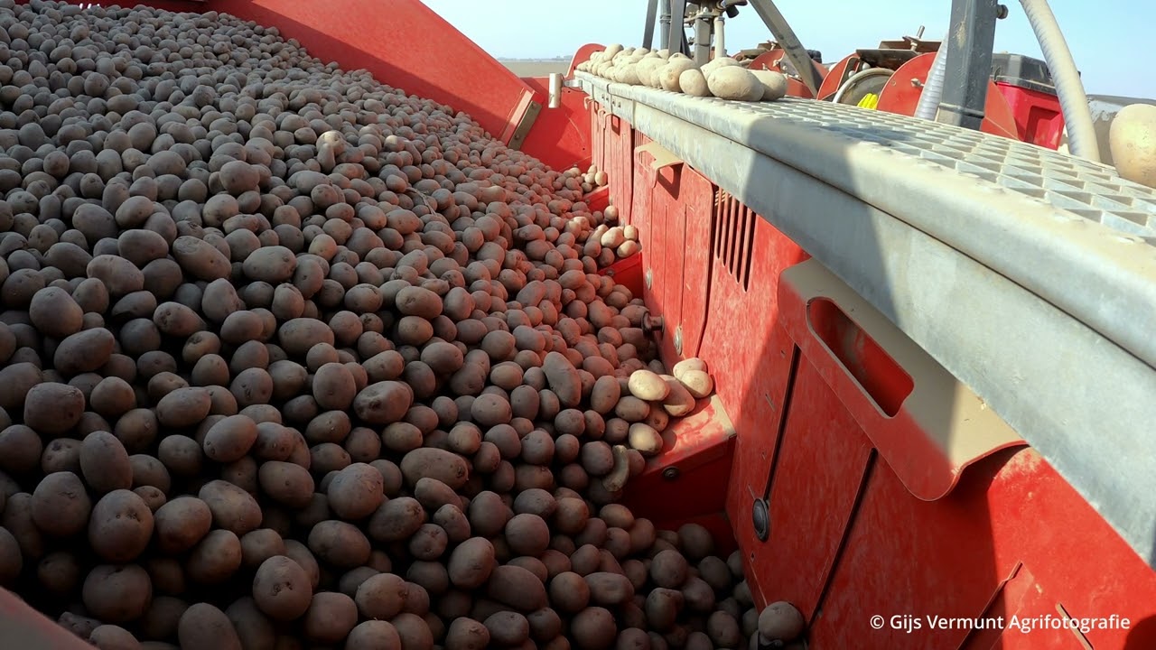 Aardappelen poten // Van peperstraten // Fendt // Miedema // AVR