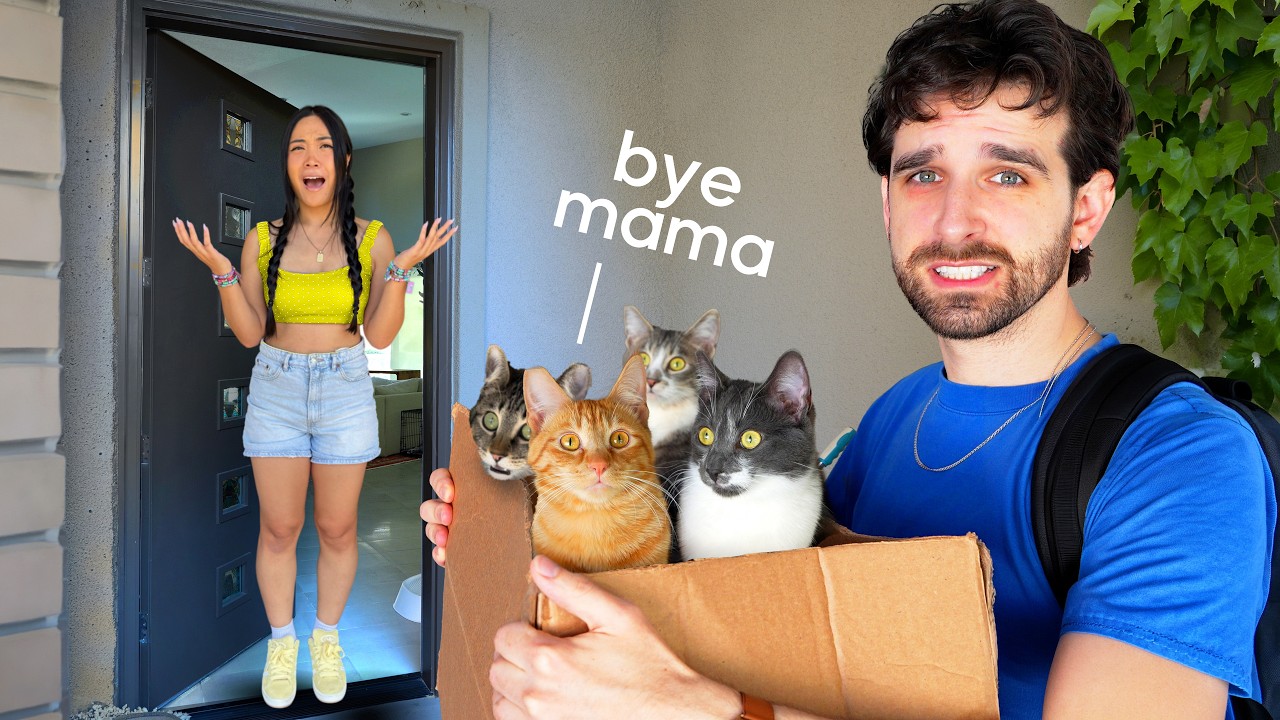 I'm Moving Out... and Taking OUR CATS (sad...)