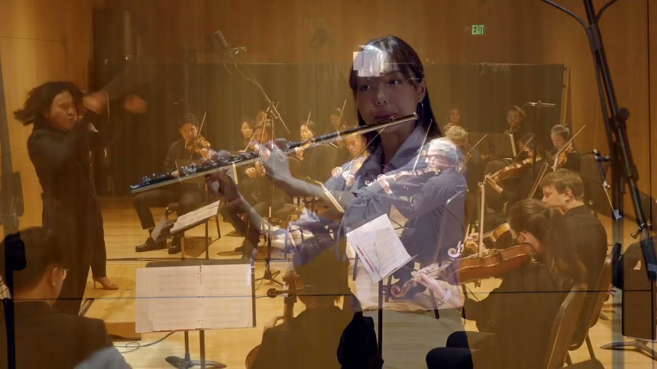 Devienne Flute Concerto First Movement