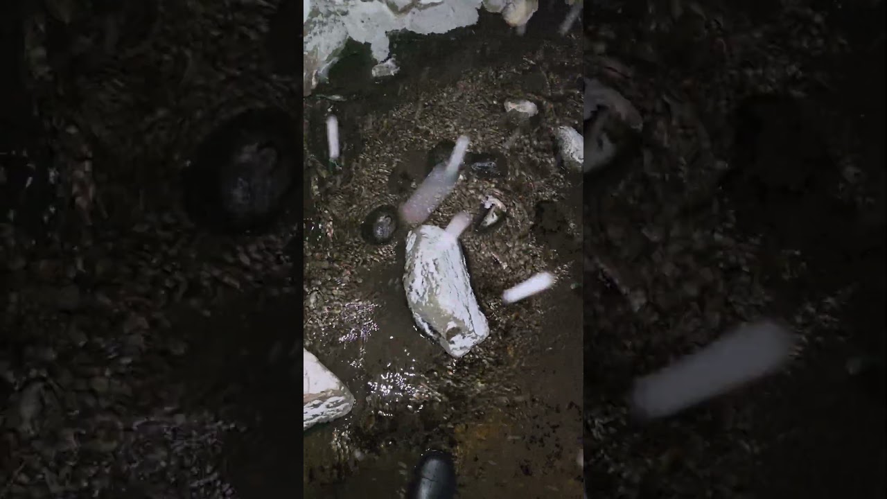 rubber boots in water